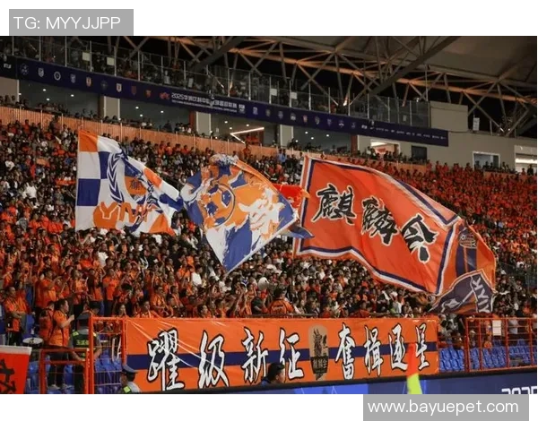 倡议组织观看20252026富滇银行云南省城市足球联赛迪庆赛区精彩赛事活动