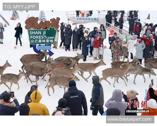冰超伊春冰雪森林穿越超级联赛盛大开幕森工系统专场赛精彩纷呈